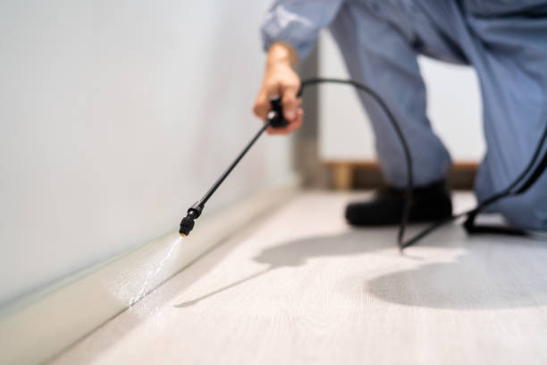 Licensed Pest Control service in Wedgefield, SC - Show Me Pest Control